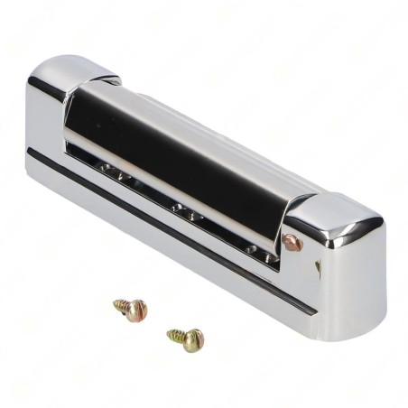 Bisagra Cromo Vertical C/MUELLE 135mm G-426