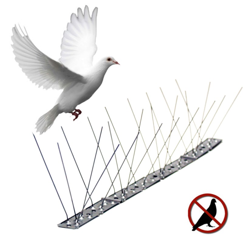 Varilla disuasoria para aves, anti palomas, acero inoxidable 100 x 2,5 x 11 cm