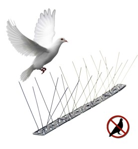 Varilla disuasoria para aves, anti palomas, acero inoxidable 100 x 2,5 x 11 cm