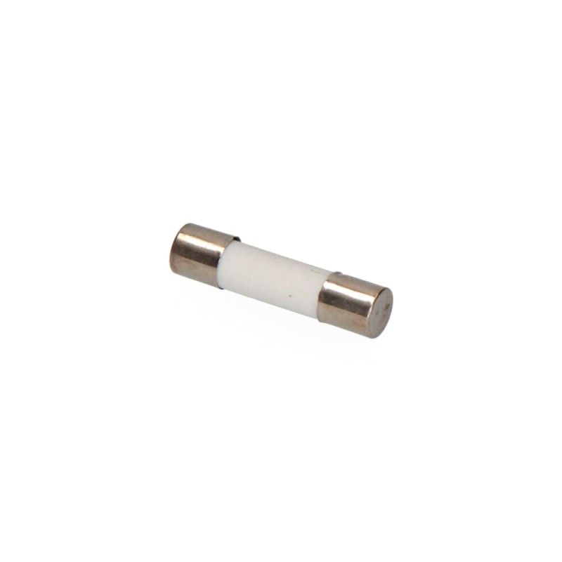 Fusible 5 x 20 mm 10 a