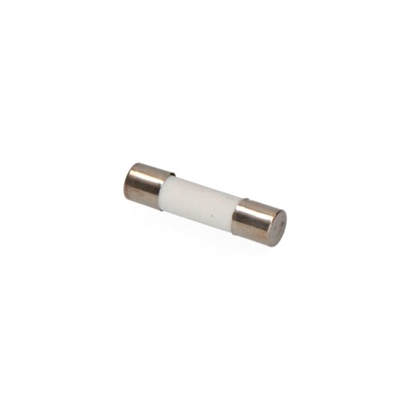 Fusible 5 x 20 mm 10 a