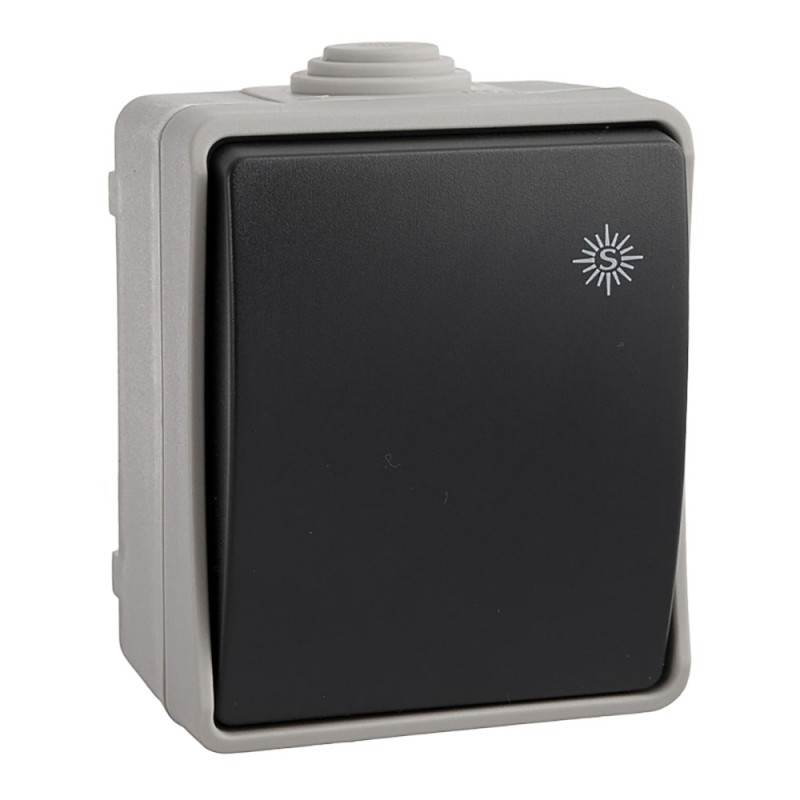 Interruptor estanco ip44 16 a 250 v
