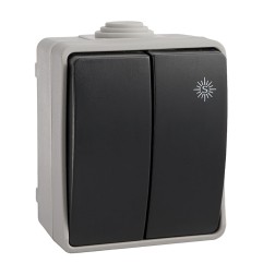 Doble conmutador estanco 10 ax 250v~. ip54 (retractilado)