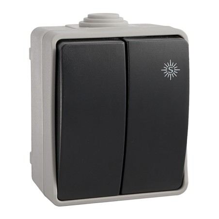 Doble conmutador estanco 10 ax 250v~. ip54 (retractilado)