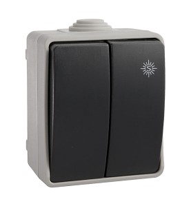 Doble conmutador estanco 10 ax 250v~. ip54 (retractilado)