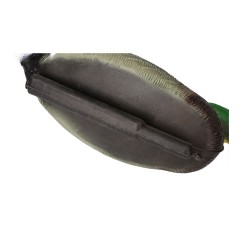 Pato cuello verde reclamo aves 36 x 16 x 16cm edm