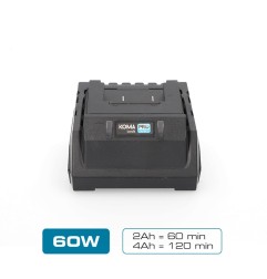 Cargador de bateria 20 v 60 w