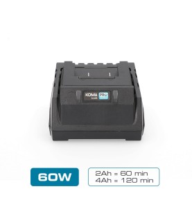 Cargador de bateria 20 v 60 w