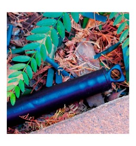 Pack de 10 tapones 16mm blue bird