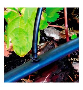 Pack con 10 uniones 4mm blue bird