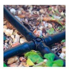 Pack con 10 cruces 4mm blue bird