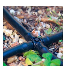 Pack con 10 cruces 4mm blue bird