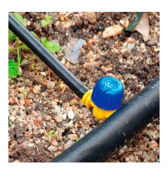 Pack con 3 valvulas de 4mm blue bird