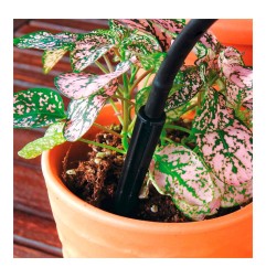 Pack con 20 piquetas gotero espada blue bird