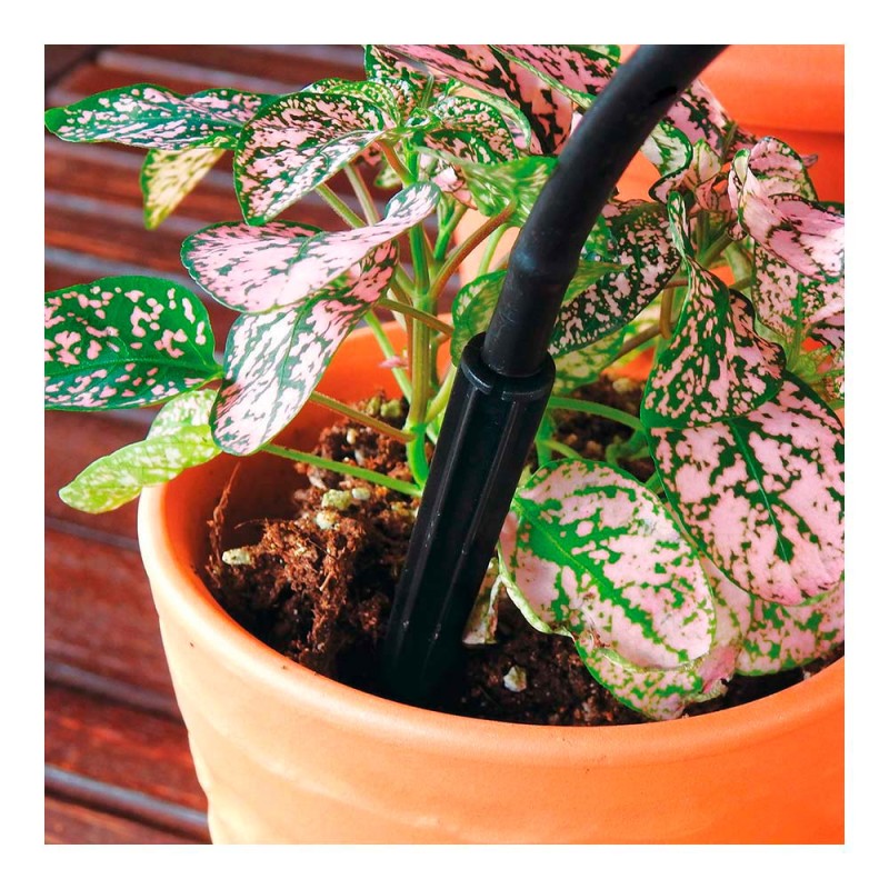 Pack con 20 piquetas gotero espada blue bird