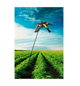 Halcón cometa ahuyenta pájaros 145x70cm 231606 massó