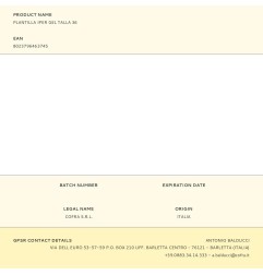 Plantilla iper gel talla 36