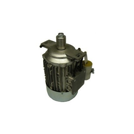 Motor 230v 50hz peladora patatas fp/fpc fama