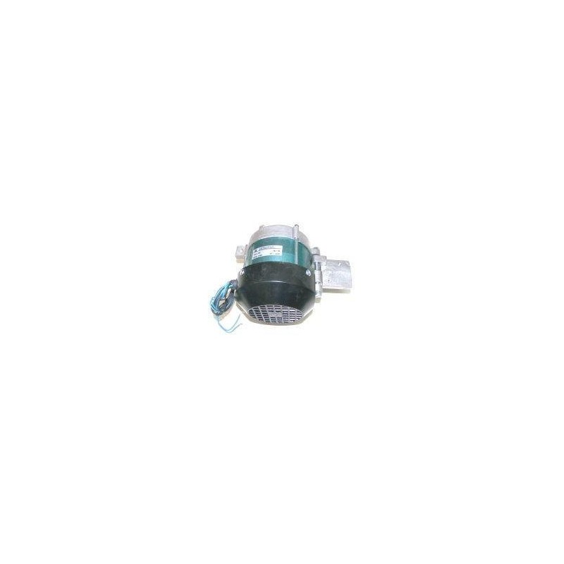 Motor 230v cortadora 300 sammic