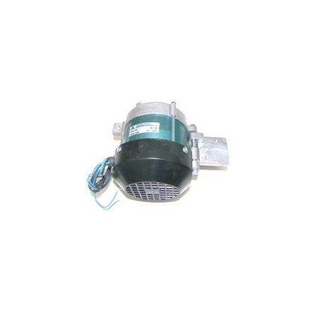 Motor 230v cortadora 300 sammic