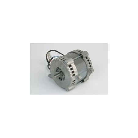 Motor cortadora 160w 230v 300 rgv