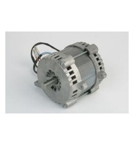 Motor cortadora 160w 230v 300 rgv