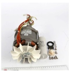 Motor cortadora hortalizas/ralladora pan 230v