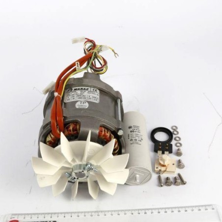 Motor cortadora hortalizas/ralladora pan 230v