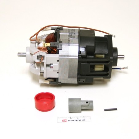 Motor TR/BM-350/550 imán sammic