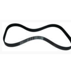 Correa pj 891 7 dientes sammic