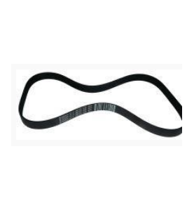 Correa pj 891 7 dientes sammic