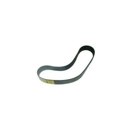Correa peladora patatas m25/m26 sammic