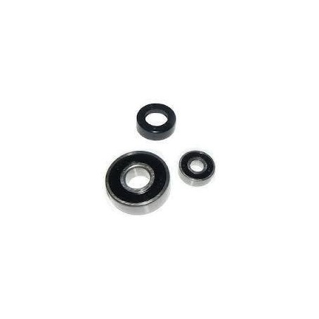 Conjunto cojinetes triturador mp robot coupe