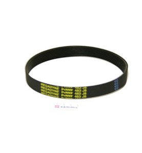 Correa cortadora 483-j 8 dientes ca-300 sammic