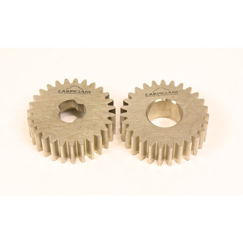 Conjunto piñon bomba miniwip/g Carpigiani