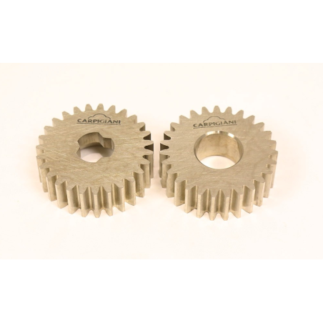 Conjunto piñon bomba miniwip/g Carpigiani