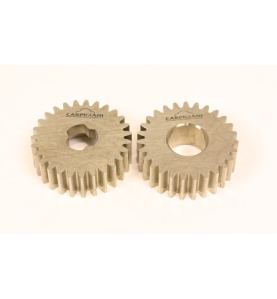 Conjunto piñon bomba miniwip/g Carpigiani