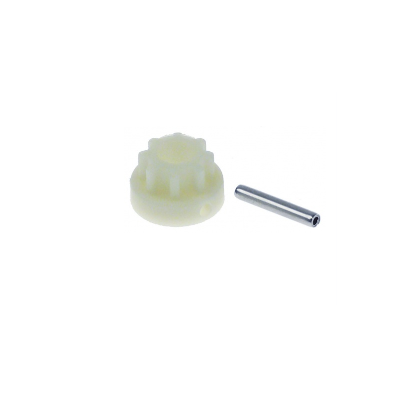 PiÑon acoplamineto nylon dinamix dynamic PiÑon acoplamineto nylon dinamix dynamic