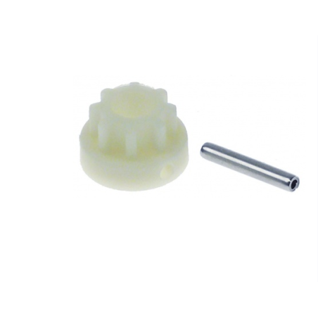 PiÑon acoplamineto nylon dinamix dynamic