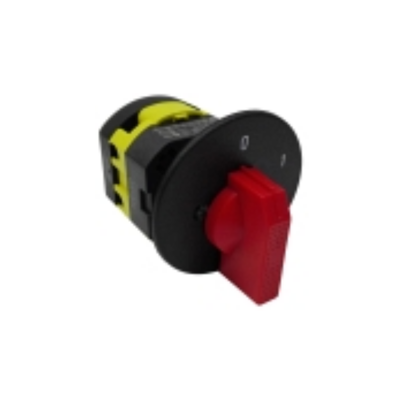 Interruptor 230v cortadora 250/275/300 sammic