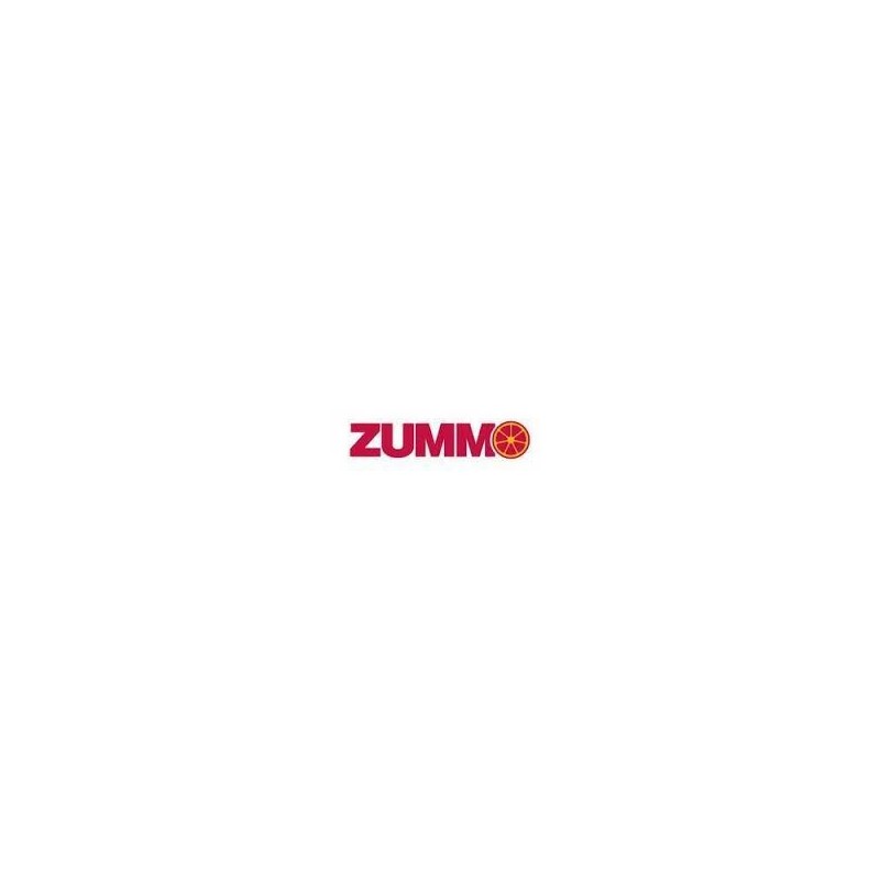 Muelle leva exprimidor z08a zummo