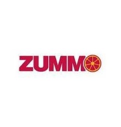 Muelle leva plato tolva zummo z08a
