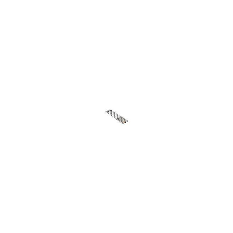Kit 6 pinchos inox para fondue l250mm