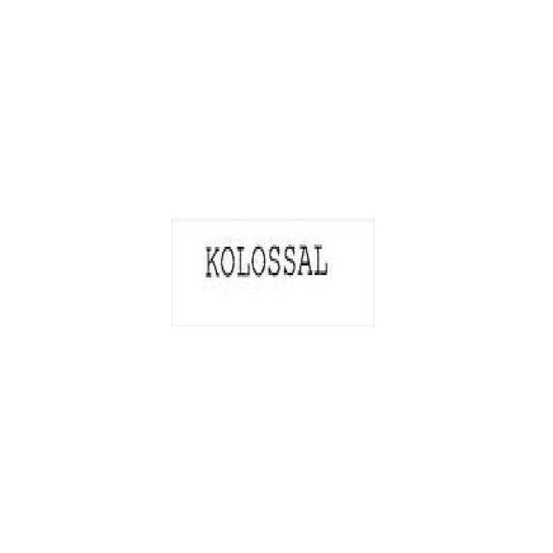 Placa electrÓnica 24/230v cortadora kolossal