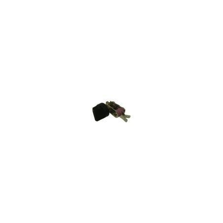 Regulador temperatura placa calentamineto