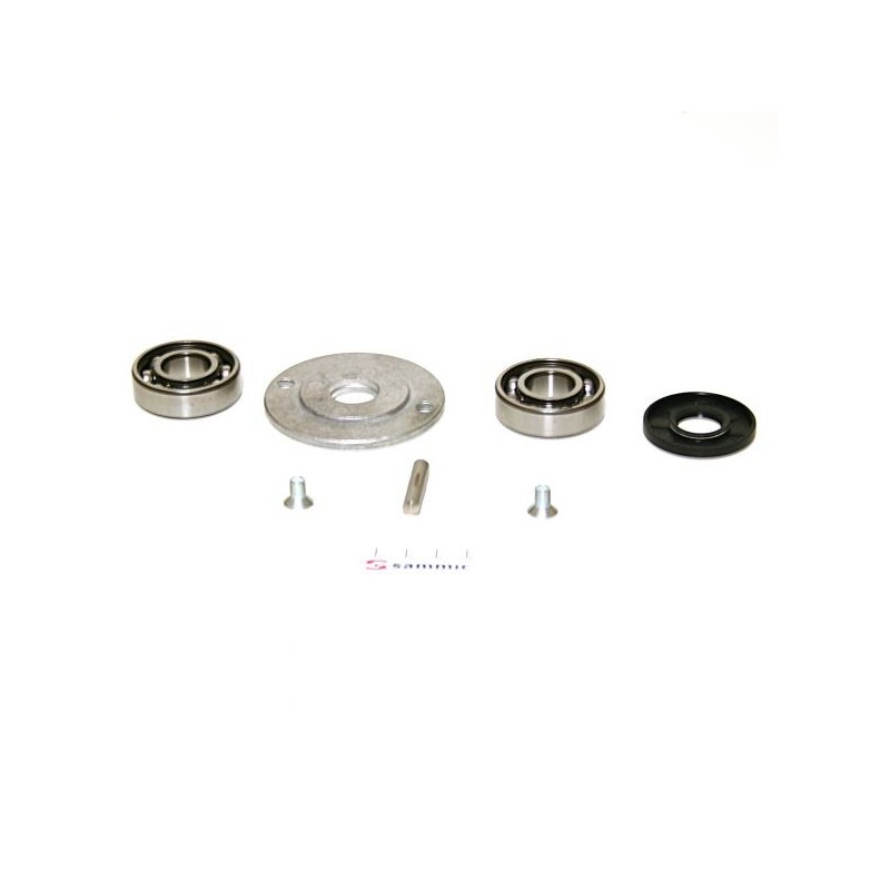 Rodamiento completo peladora patatas  PP-6 PP-12 sammic