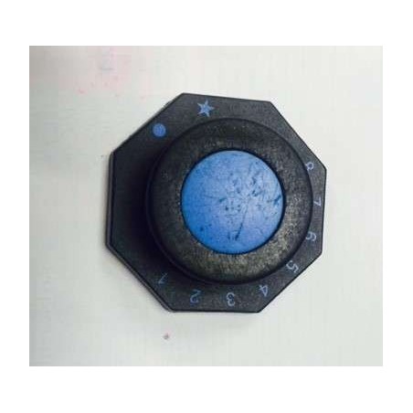 Mando termostato regulable ev
