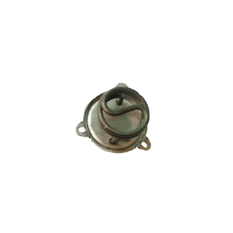 Resistencia 1000w 230v europiccola