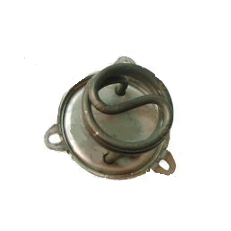 Resistencia 1000w 230v europiccola