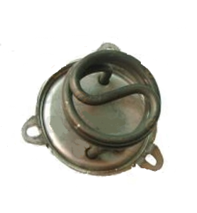 Resistencia 1000w 230v europiccola